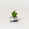 Waste Bag Holder - KM Home