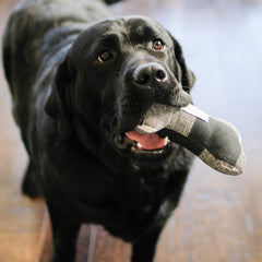 Modern Mud Cloth Stone Squeaky Toy